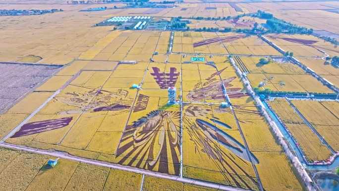 沈阳沈北稻梦空间稻田画航拍