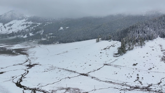 【正版4K素材】航拍新疆喀纳斯下雪