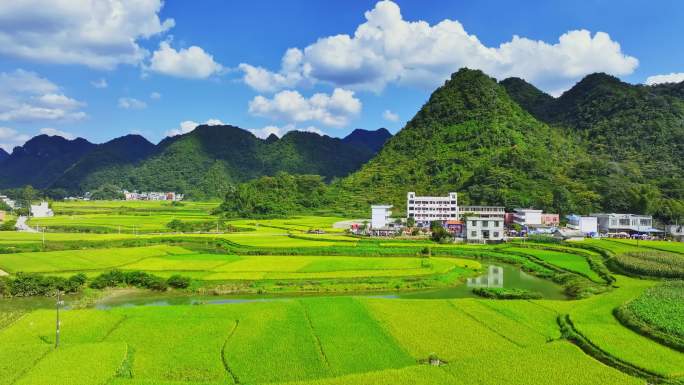 乡村振兴航拍中国乡村学校