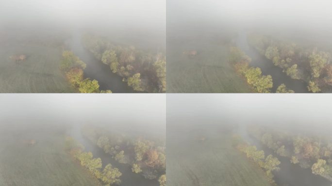 河流树木雾气弥漫