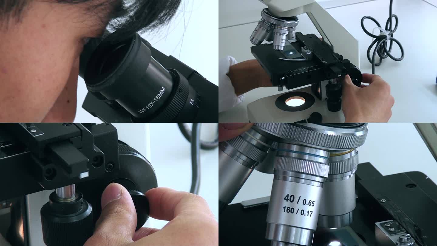 显微镜操作实验室观察制片