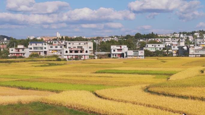 航拍贵州高坡农村风貌丰收的季节 农业旅游