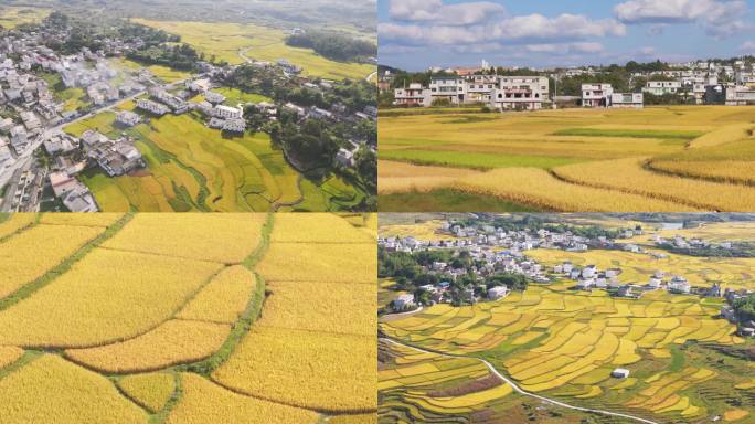 航拍贵州高坡农村风貌丰收的季节 农业旅游