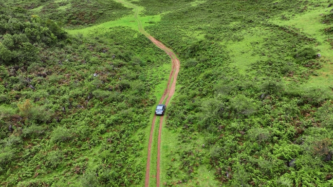 行驶在森林公路上的汽车航拍