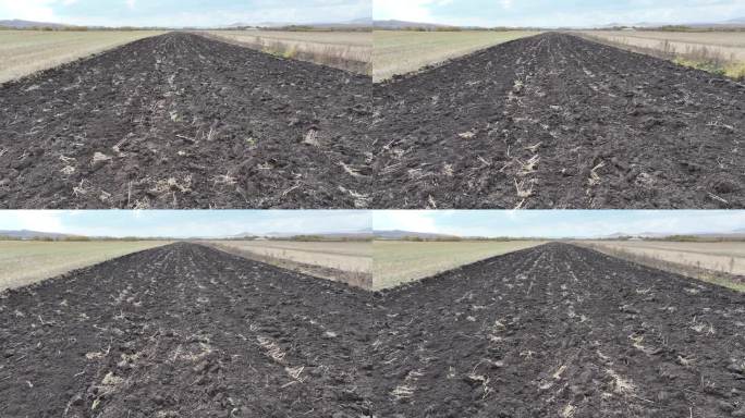 耕田耕地种地犁地种田