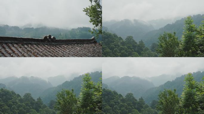 延时摄影乡村烟雾缭绕绿色植物原生态植被