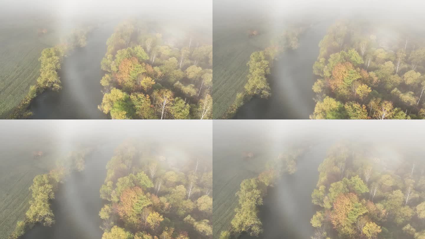 河流树木晨雾弥漫