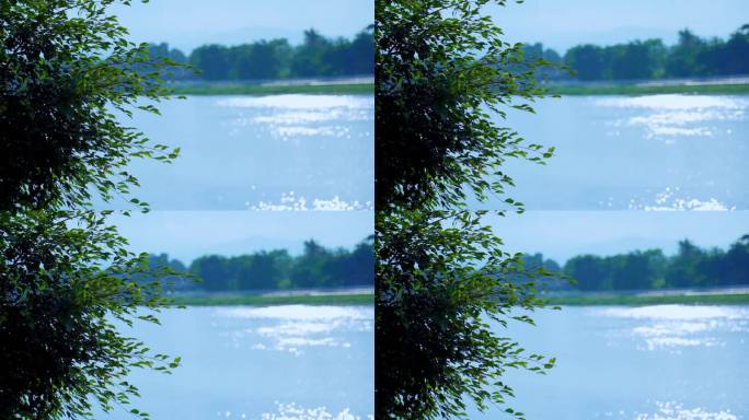 湖面波光粼粼自然写意