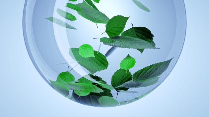 玻璃器皿中的绿色植物叶子落下提取精华
