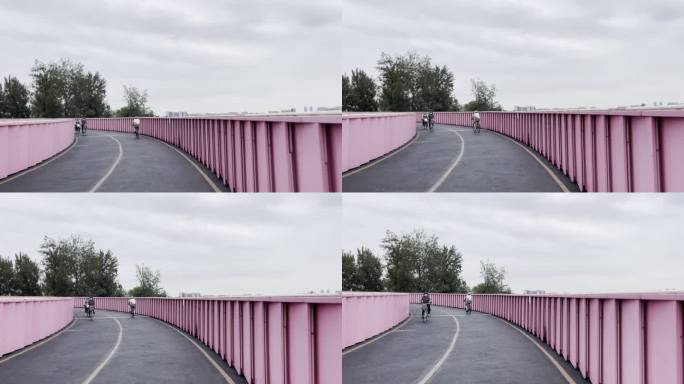 天府绿道、芙蓉园.粉蓉桥、骑行、粉色长桥