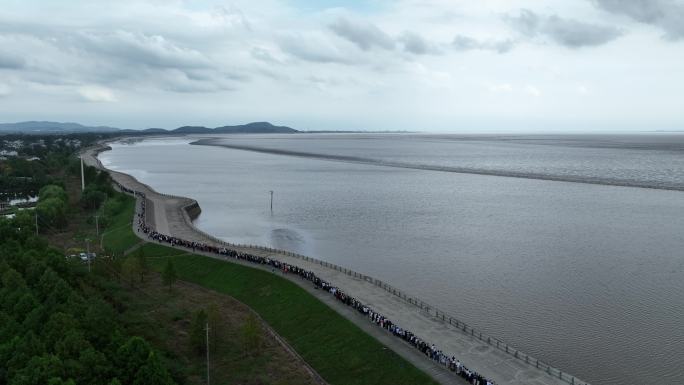 浙江杭州嘉兴钱塘江游客人群海塘堤坝观潮水