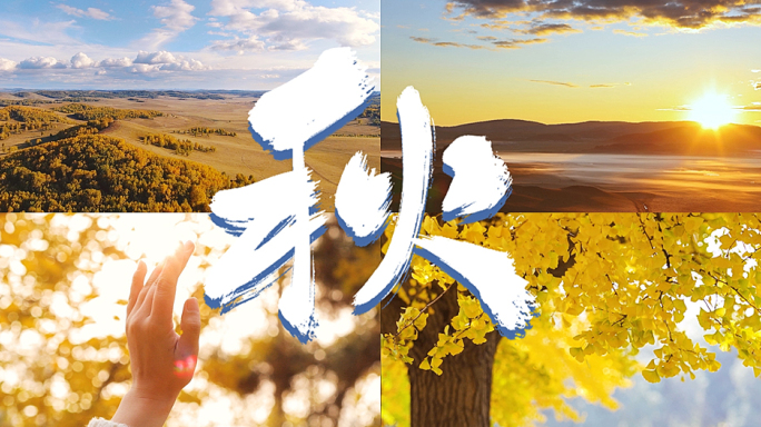 秋天 秋色红叶合集