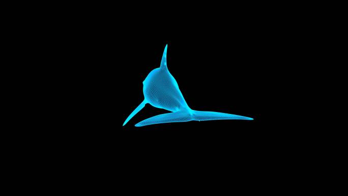 蓝色线框全息海豚动画素材带通道