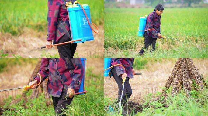 老人农民田地农活除草剂喷杀虫剂