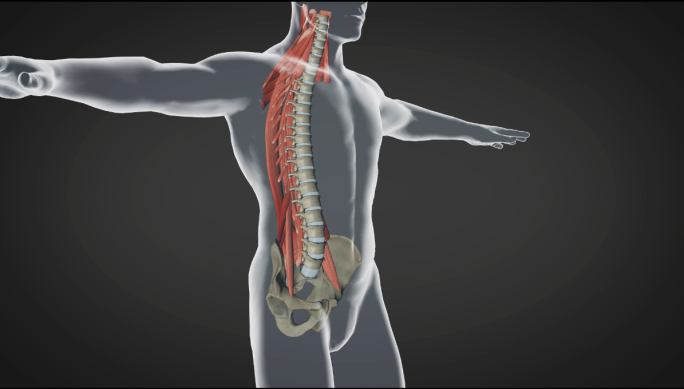 腰椎间盘突出矫正治疗三维3D模型演示