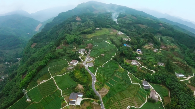 穿越机茶山航拍