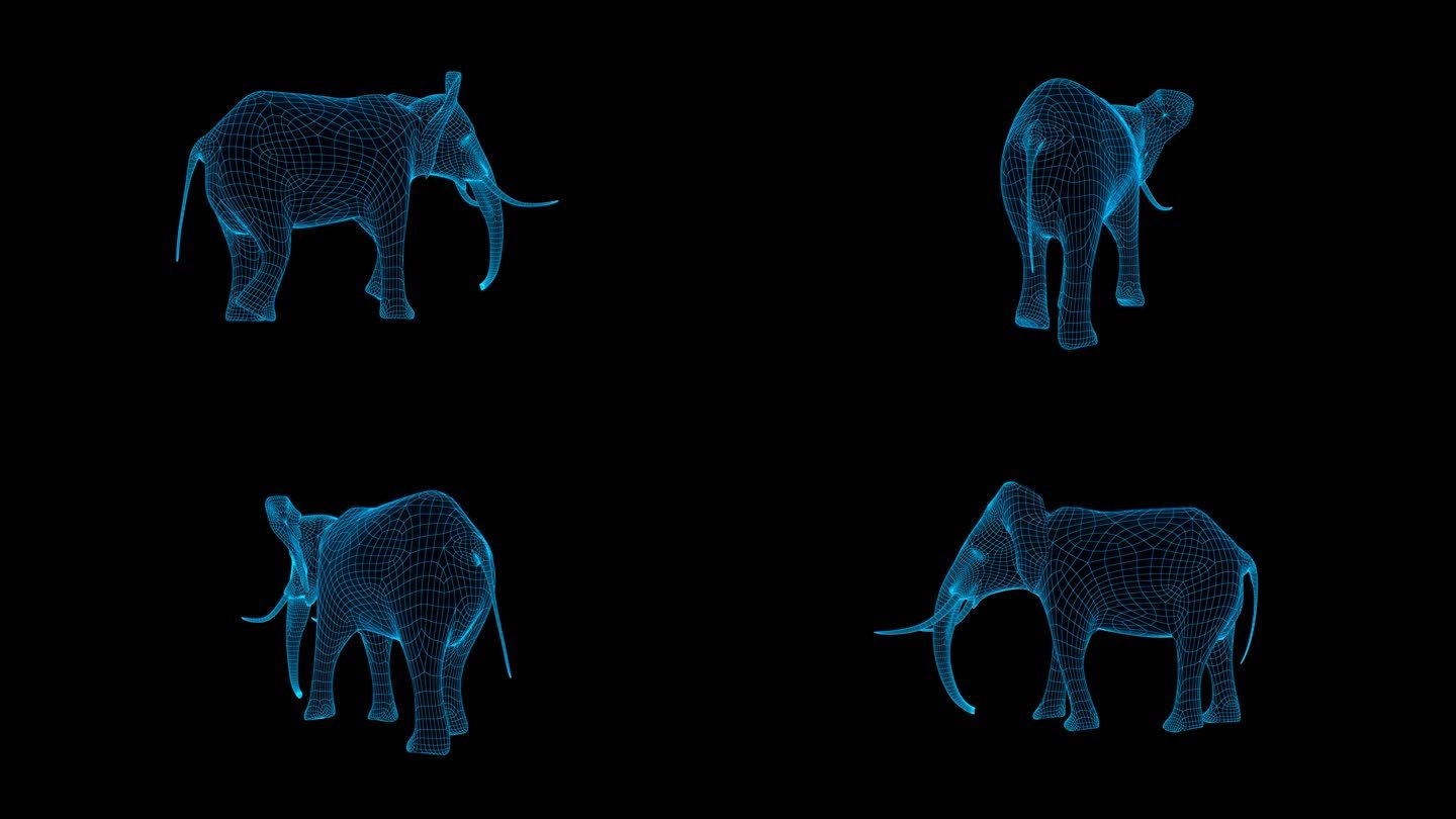 蓝色线框全息大象动画素材带通道