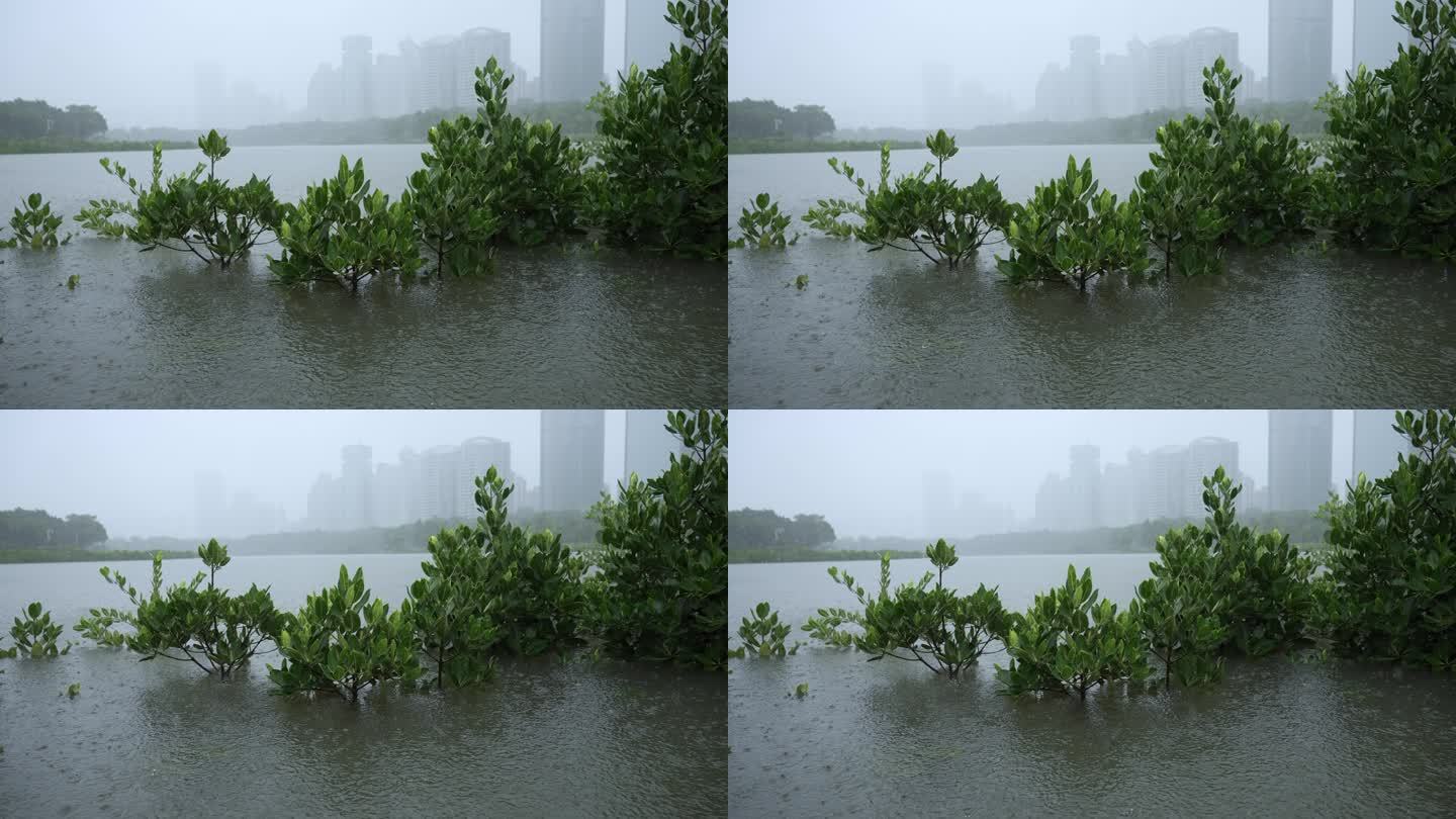 城市雨景