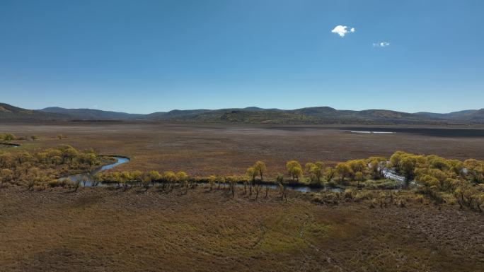 绰尔河湿地秋季风景