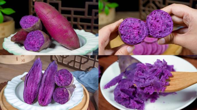 沙地小紫薯