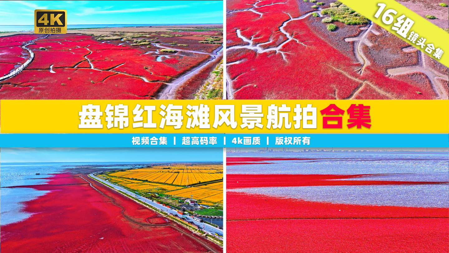 【合集】辽宁盘锦红海滩航拍自然风景