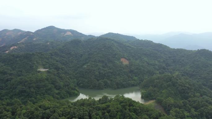 仙湖风景区航拍