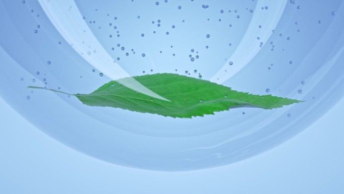 化妆品植物绿叶草本精华细胞液萃取提取