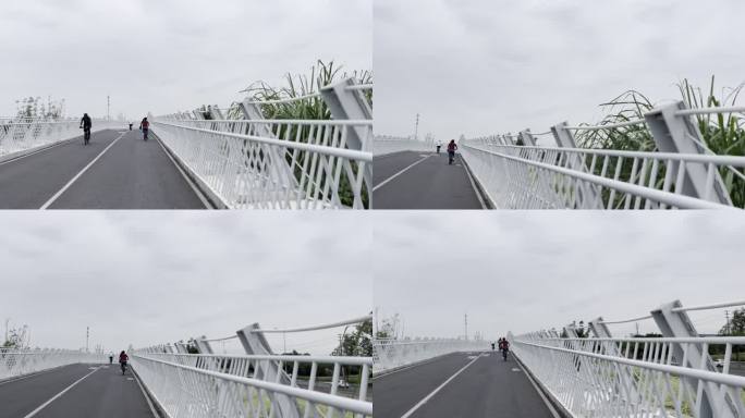 骑行、桥、天府绿道、白色长桥
