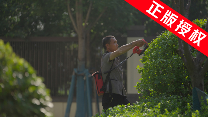 花草修剪 修剪工人 城市园林 城市绿化