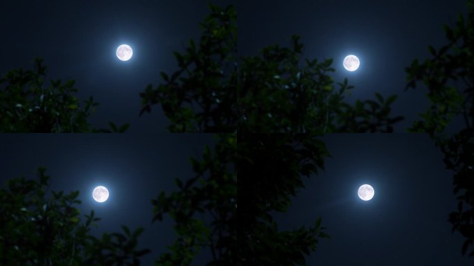 农村月亮夜景视频