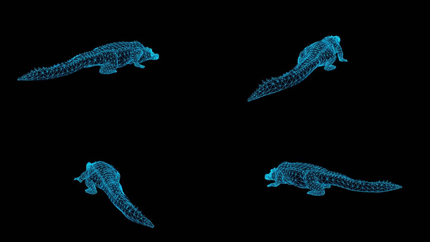 蓝色线框全息鳄鱼动画素材带通道