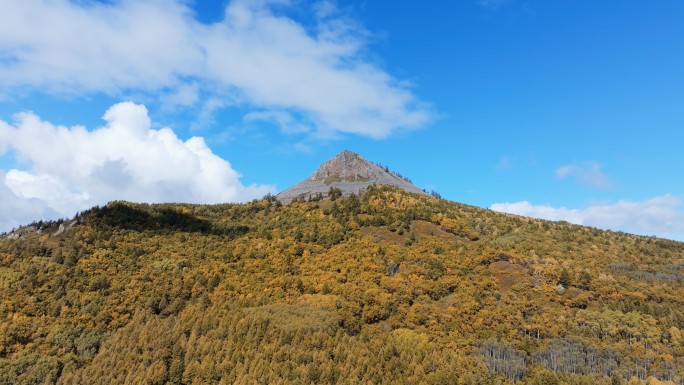 阿尔山白狼峰秋景航拍