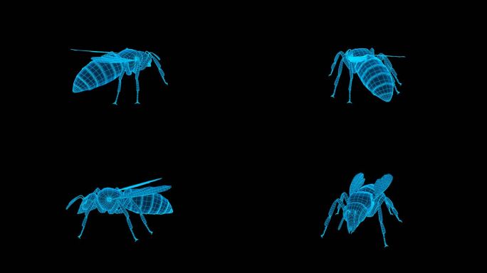 蓝色线框全息黄蜂素材带通道