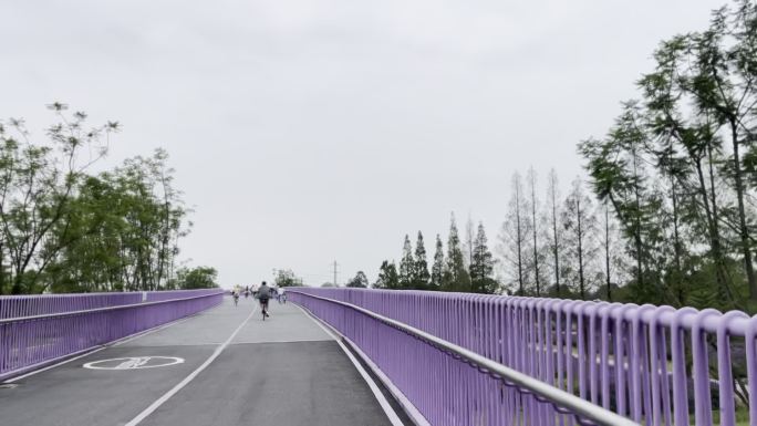 江安·紫鸢桥、骑行、绿道、紫桥、上坡