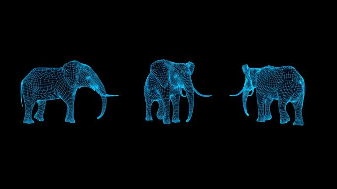蓝色线框全息大象动画素材带通道