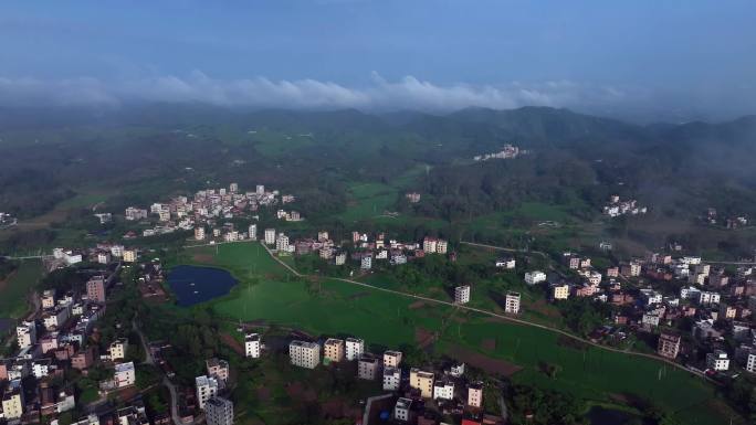 航拍粤西乡村气息住房农业鸟瞰视角