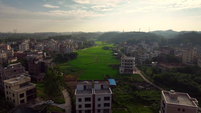 航拍粤西乡村气息住房屋早晨生态农业