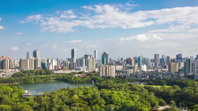 城市森林湖泊天空云朵延时