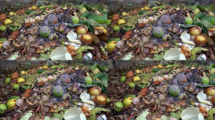 有机堆肥堆与绿色废物的特写。从食物和花园垃圾中提取天然肥料的过程。堆肥腐殖质。厨余垃圾加到堆肥堆中。