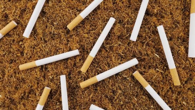 烟草和香烟二手烟宣导公益烟
