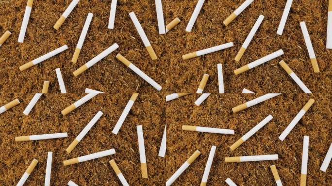 烟草和香烟二手烟宣导公益烟