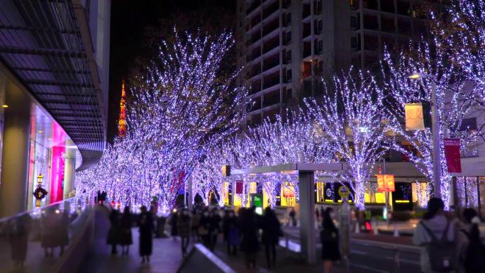 在圣诞彩灯的照耀下，人们漫步在Keyakizaka