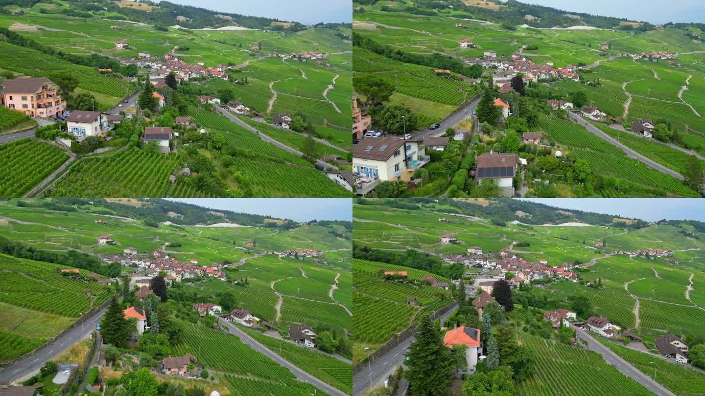 俯瞰瑞士日内瓦湖岸边的葡萄园。拉沃葡萄酒产区有许多酿酒厂和葡萄园