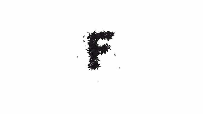 动画万圣节字体形成的飞行蝙蝠字符F与alpha