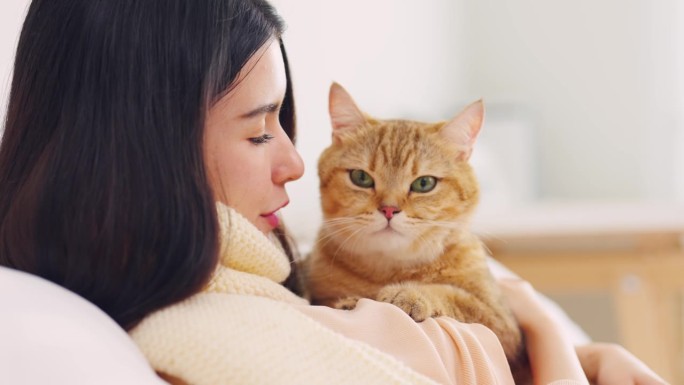 亚洲妇女抱着小猫在家里快乐地玩耍。迷人美丽的女性躺在床上，度过自由的闲暇时间，在卧室里温柔地亲吻她的