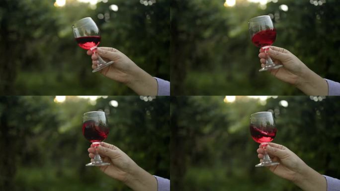品尝红酒。一杯红酒在葡萄园的背景下微微摇晃。酿酒