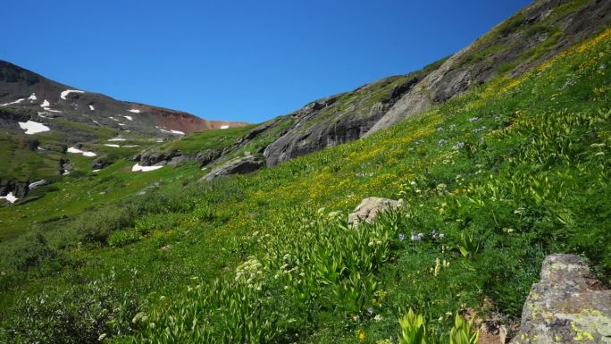 电影天堂冰湖盆地小径高山荒野哥伦拜恩紫色州野花令人惊叹的科罗拉多州西尔弗顿特柳赖德落基山脉雪夏天美丽