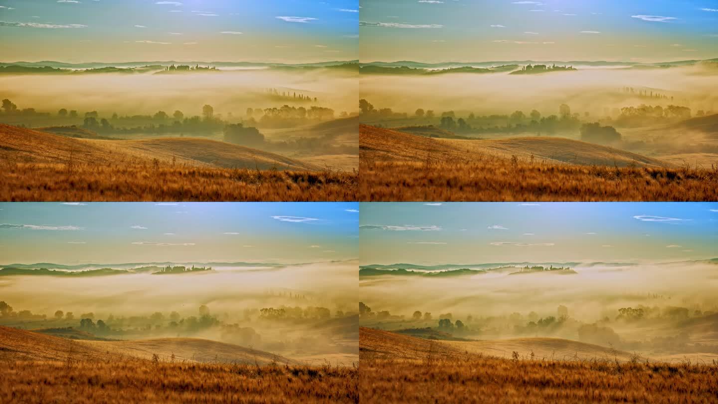 时间流逝的雾在阳光下移动，日出时田园诗般的起伏景观