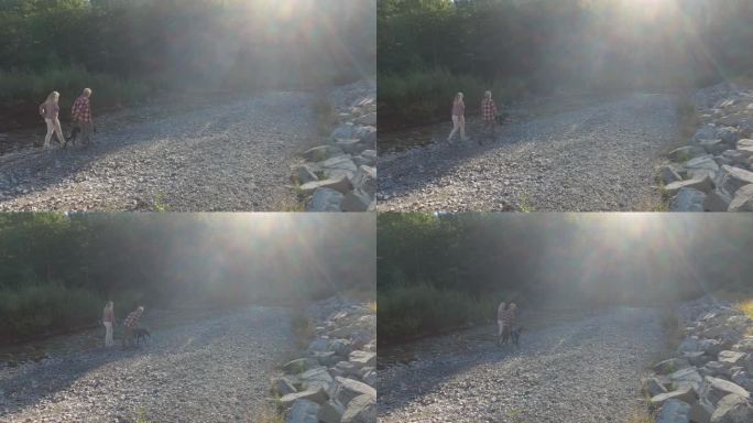 一对成熟的夫妇带着宠物狗走在小溪岸边