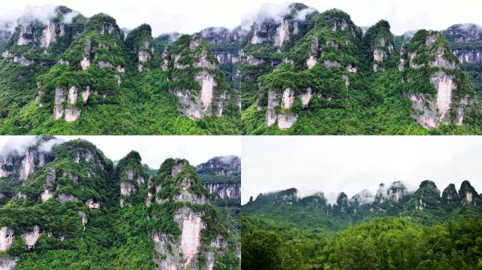 南江县神门风景区喀斯特峰丛石林峡谷景观